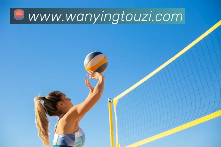 多彩内容专区